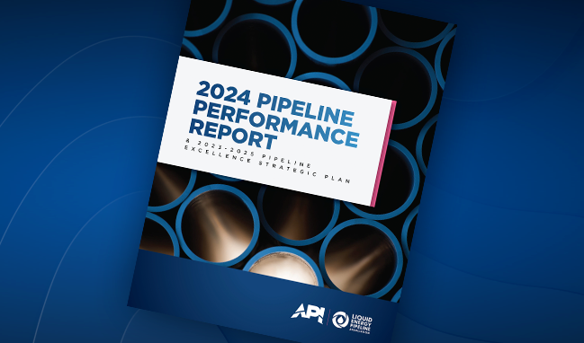 API-and-LEPA-release-2024-Pipeline-Performance-Report